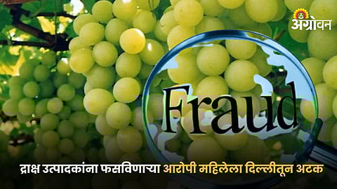 Grape Fraud