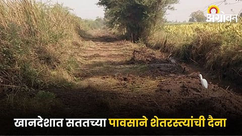 Farm Road Issue