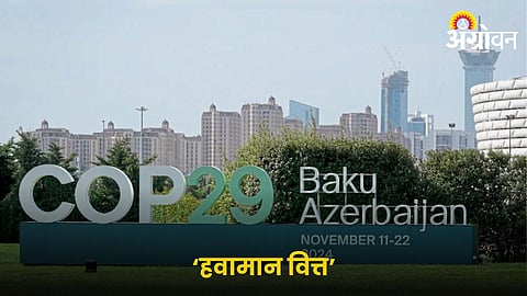 COP 29