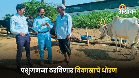 Livestock Census