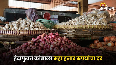 Onion Market