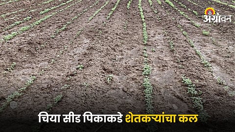 Agriculture
