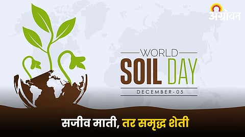 World Soil Day
