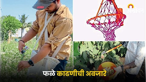 Agriculture Harvesting