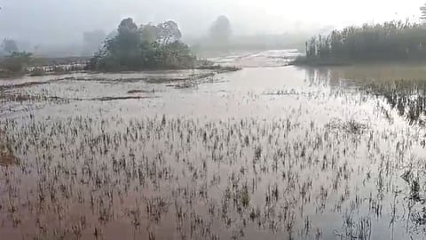 Dudhganga Dam