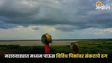 Rain Issue