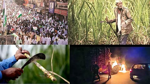 Sugarcane Rate Protest