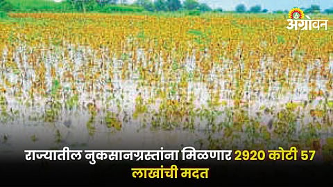Crop Loss