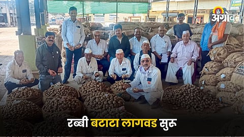Potato Market