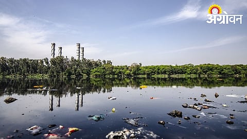 River Pollution