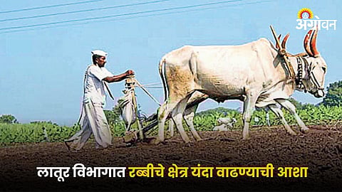 Rabi Sowing