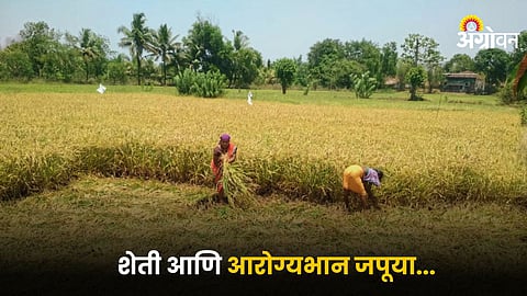 Agriculture