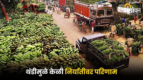 Banana Market