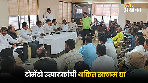 Pimpalgaon APMC