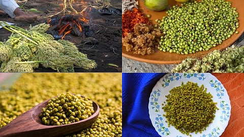 Jowar Hurda