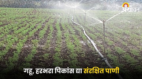 Agricultural Irrigation