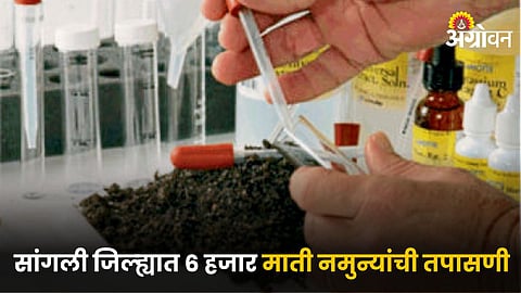 Soil Testing