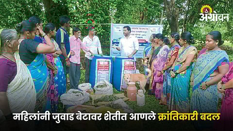 Agriculture Success