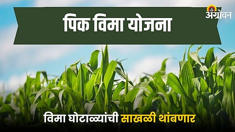 Crop Insurance