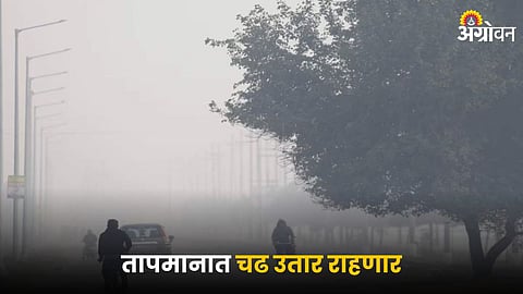 Weather