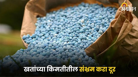 Agriculture Fertilizer