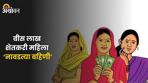 CM Ladki Bahin Yojana