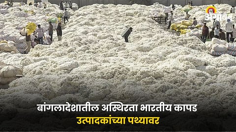Cotton Market 