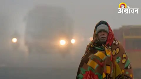Winter Season