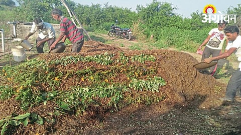 Fertilizer From Crop Residue