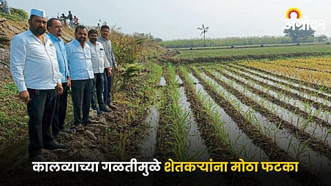 Crop Damage