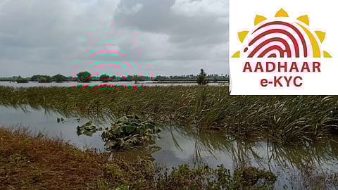 Flood Affected Farmers