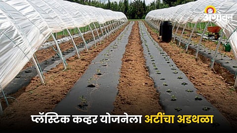 Agriculture