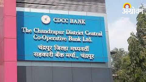 Chandrapur DCC Bank