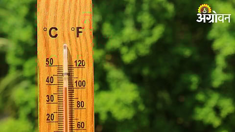 Weather Update 