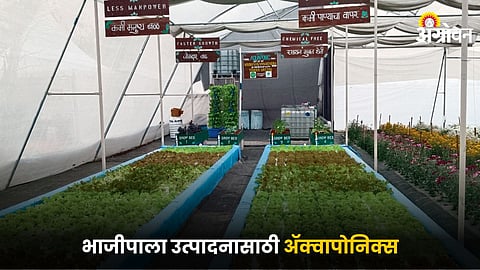 Agriculture Technology
