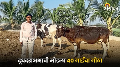 Milk Farmer