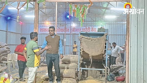 Soybean Market 