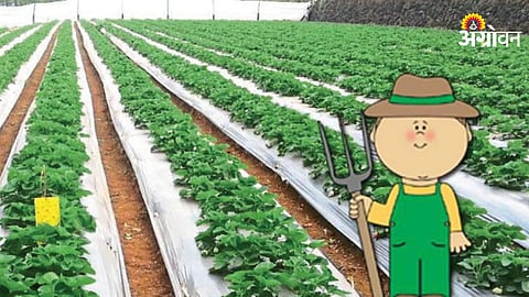 Agriculture