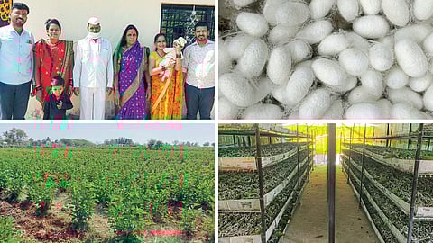 Sericulture 