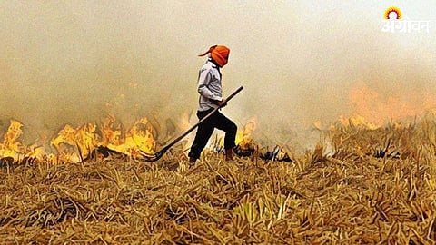 Crop Residue Burning