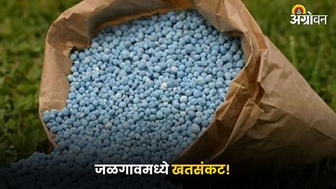 Fertilizers