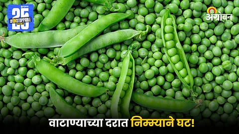 Green Peas