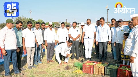 Nashik APMC 
