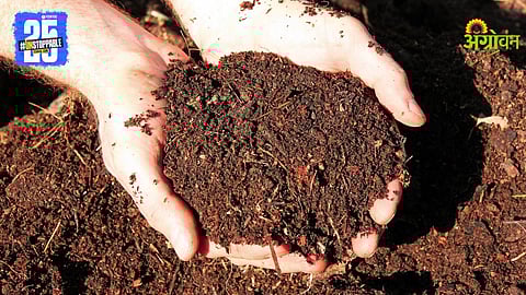 Vermicompost 