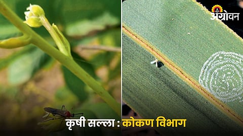 Agriculture