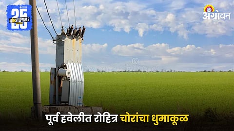 Agriculture Transformer