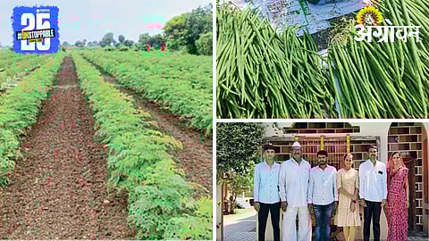 Moringa Cultivation