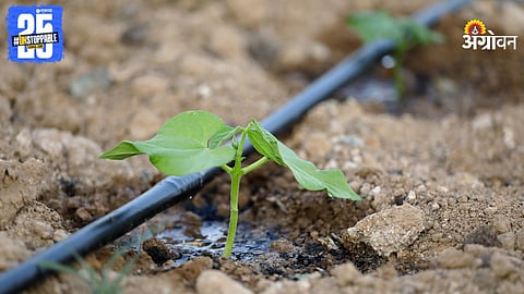 Drip Irrigation