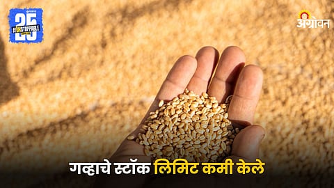 Wheat Stock