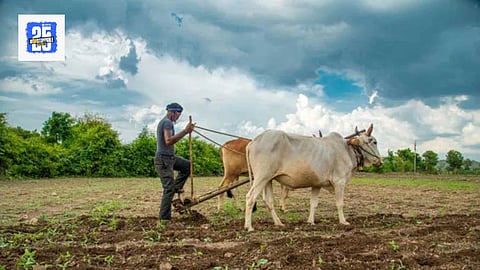 Farmers loan burden